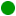 Verde (11)